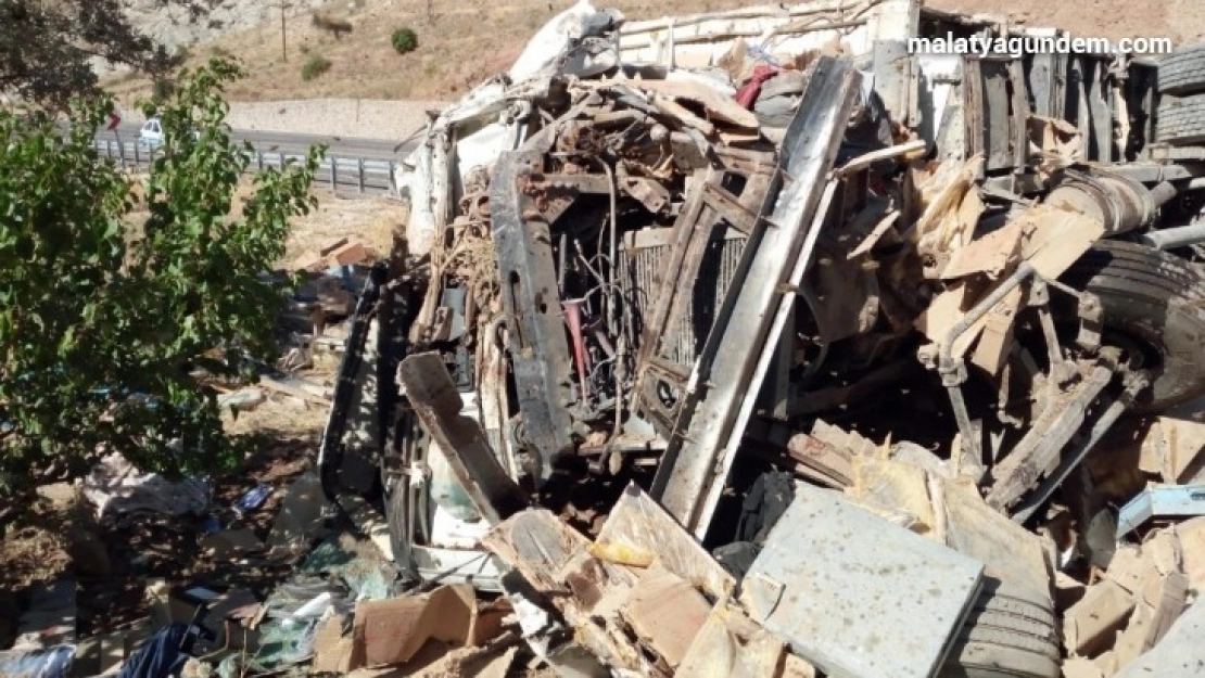 Arı kovanı yüklü kamyon devrildi 3 ölü
