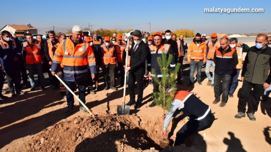 Malatya'da karayollarına ve kavşaklara fidan dikildi