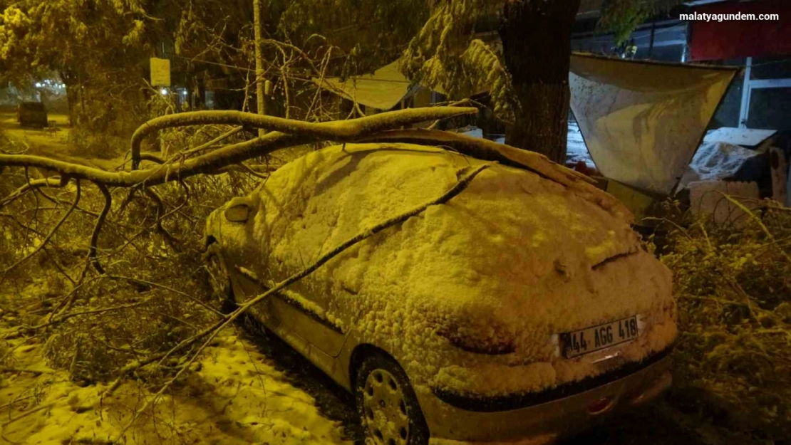 Malatya'da kardan kırılan ağaç dalları araçların üzerine devrildi