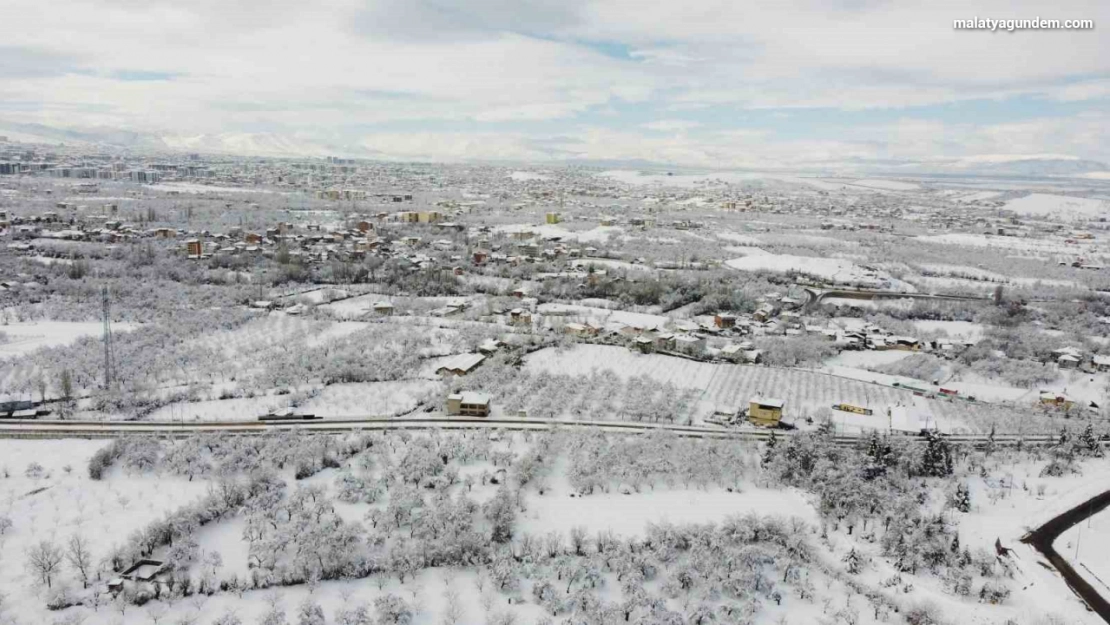 Malatya'da kayısı bahçeleri beyaz gelinliğini giydi