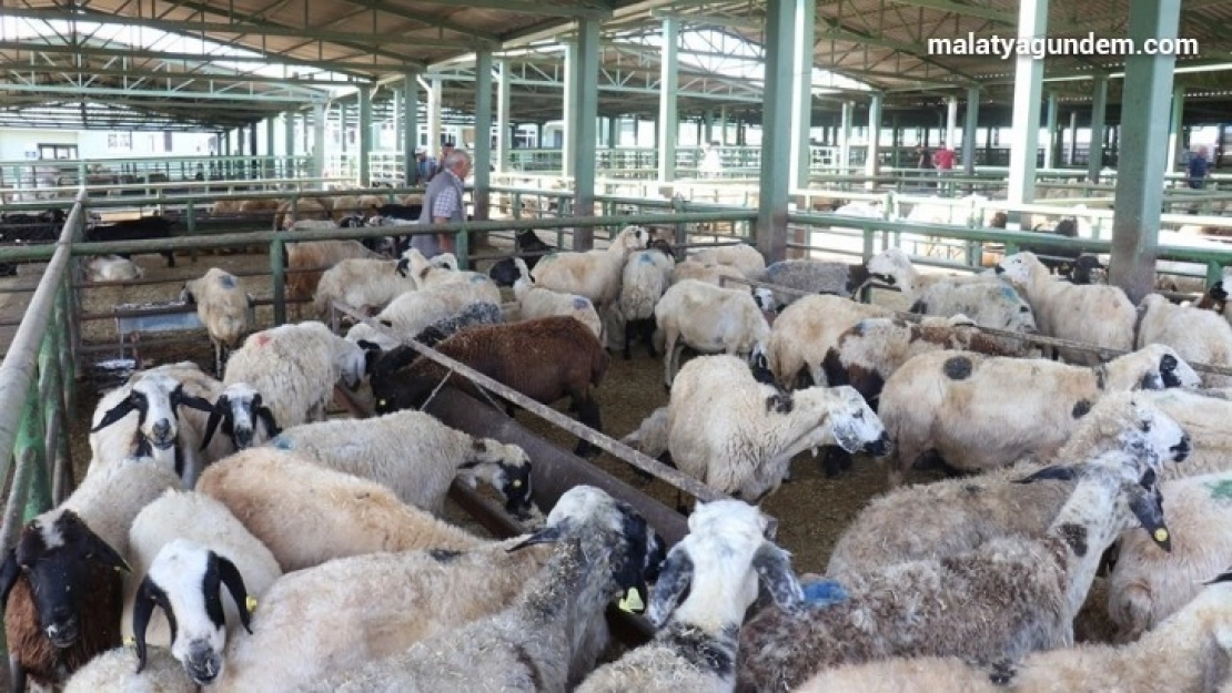 Malatya'da Kurban Bayramı tedbirleri