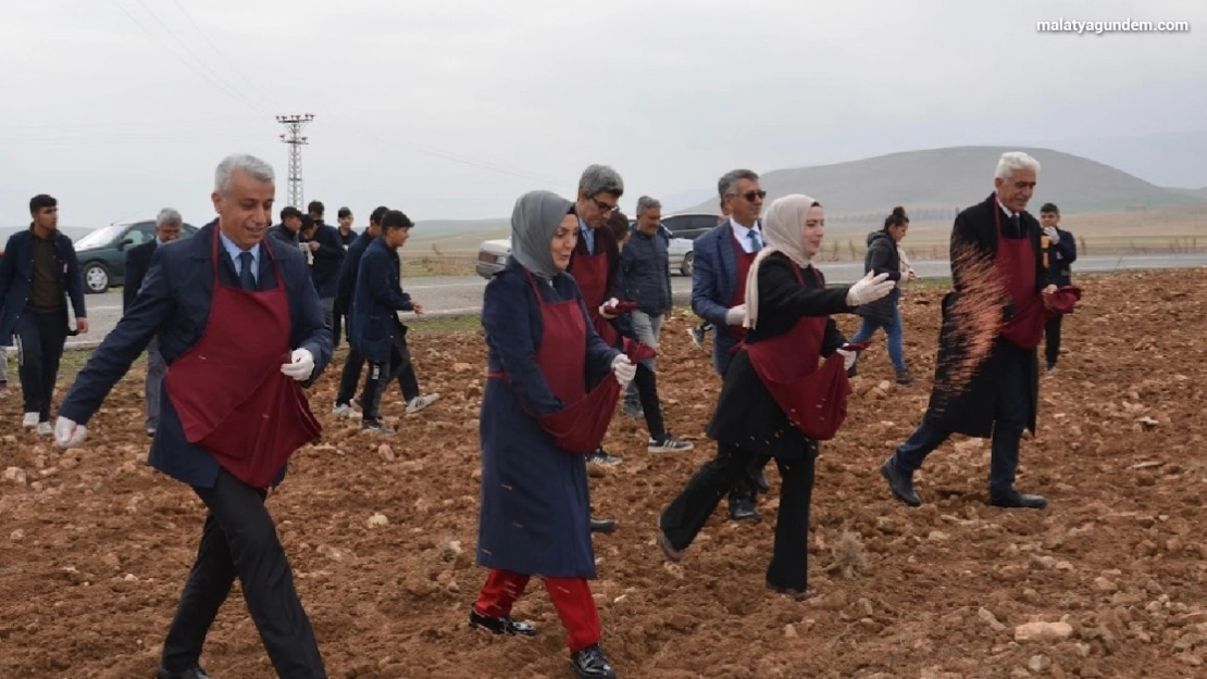 Malatya'da öğrenciler buğday ekimi yaptı