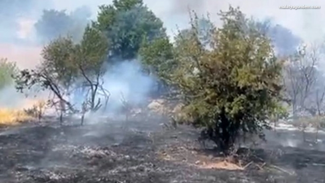 Ormanlık alanda çıkan yangın kısa sürede büyüdü