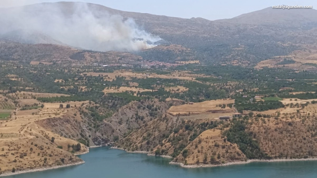 Malatya'da orman yangınına havadan müdahale