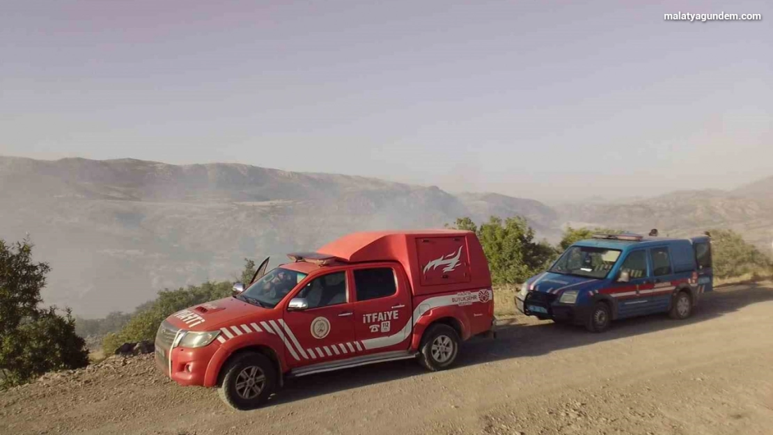 Malatya'da ormanlık alanda yangın