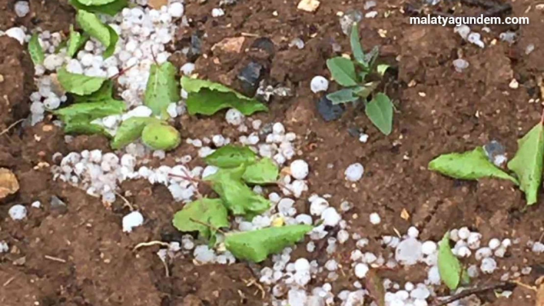 Malatya'da şiddetli sağanak ve dolu etkili oldu