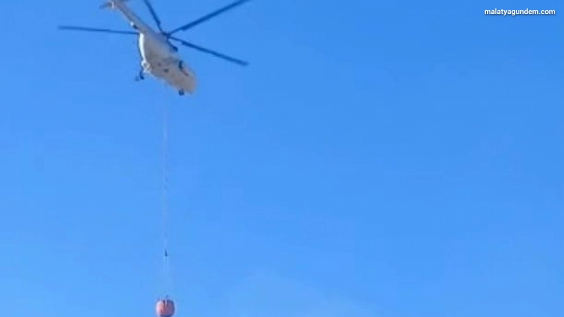 Malatya'daki orman yangını kontrol altına alındı
