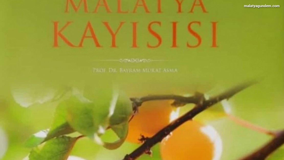 Malatya kayısı isimli kitap ödül getirdi