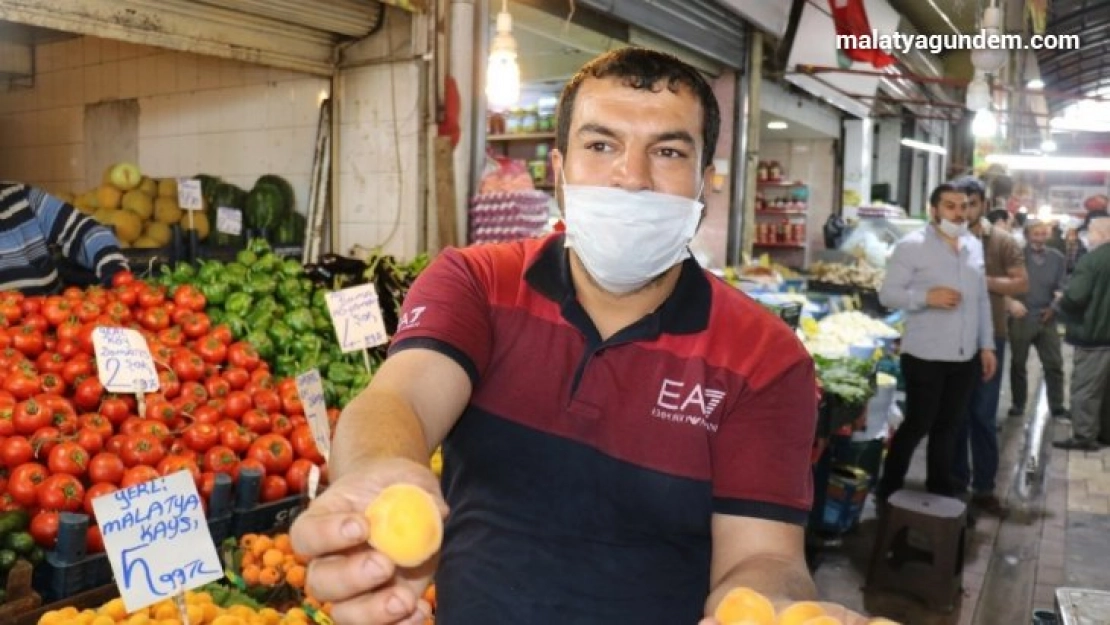 Malatya kayısısı tezgahlara geldi