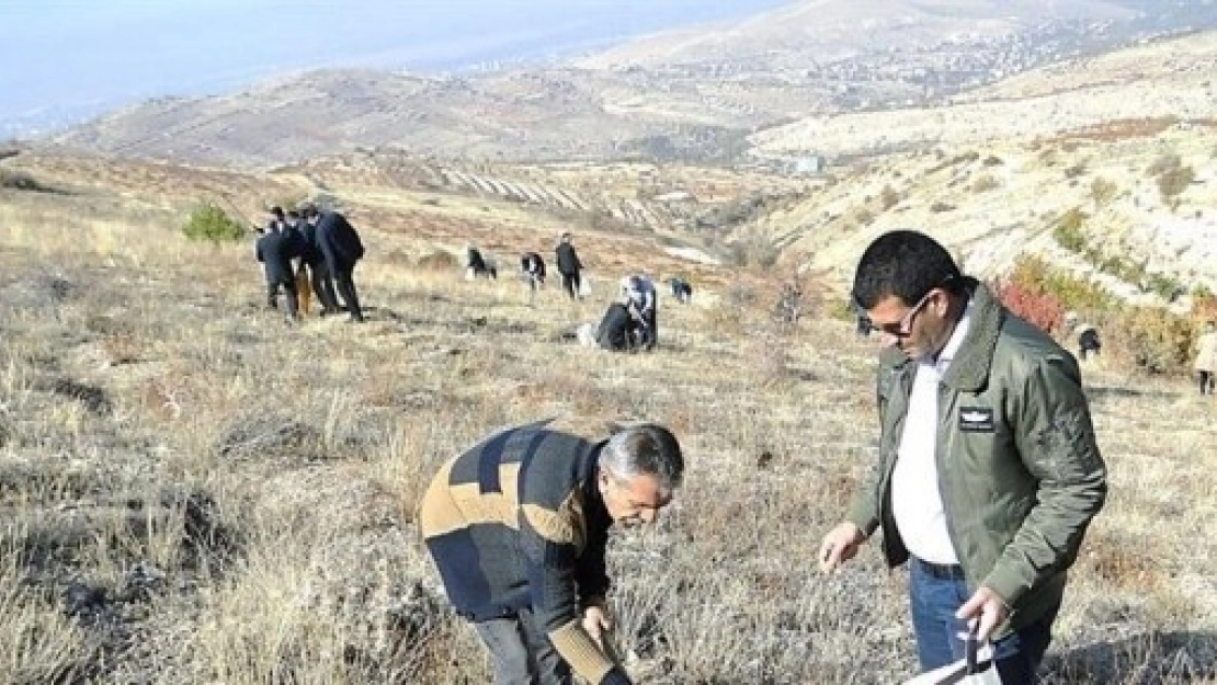 Malatya'da 7 Tarım Projesi Desteklenecek