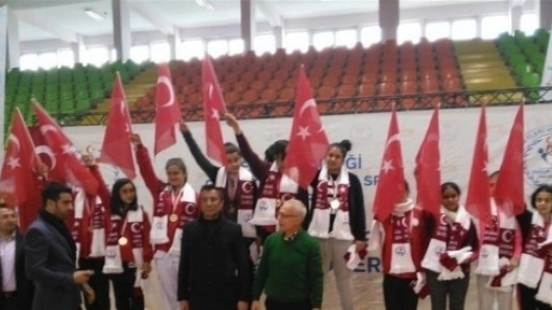 Malatyalı taekwondocular Dereceyle Döndüler