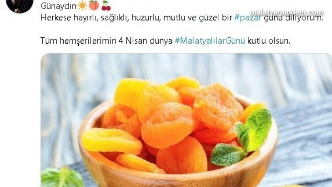 Malatyalılar günü kutlamaları sanalda