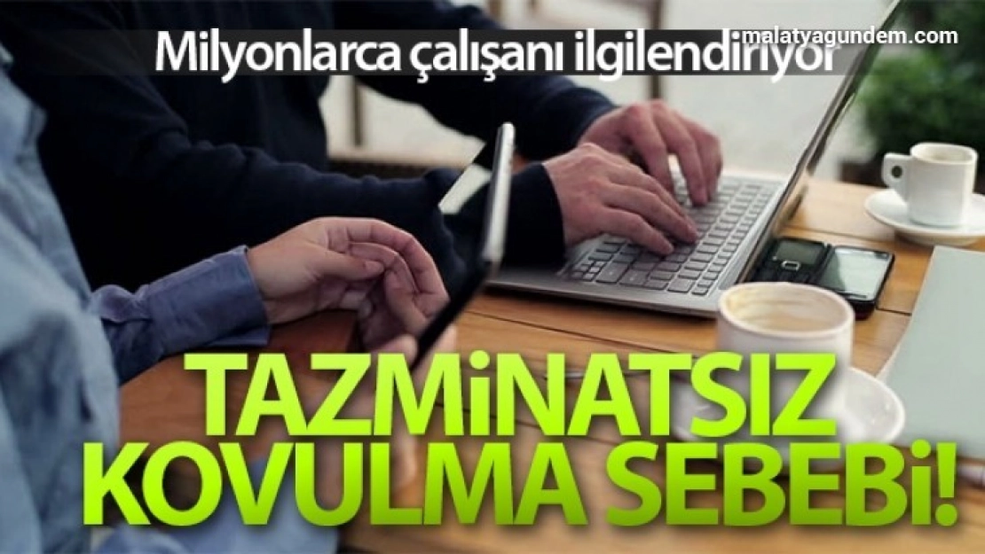 Mesai arkadaşına 'hayvan' deyince işten atıldı