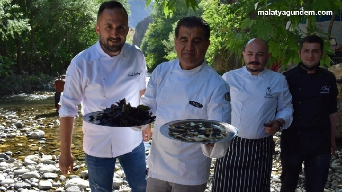 Mor reyhan sosu İtalya'nın meşhur sosu 'pesto'ya rakip oldu