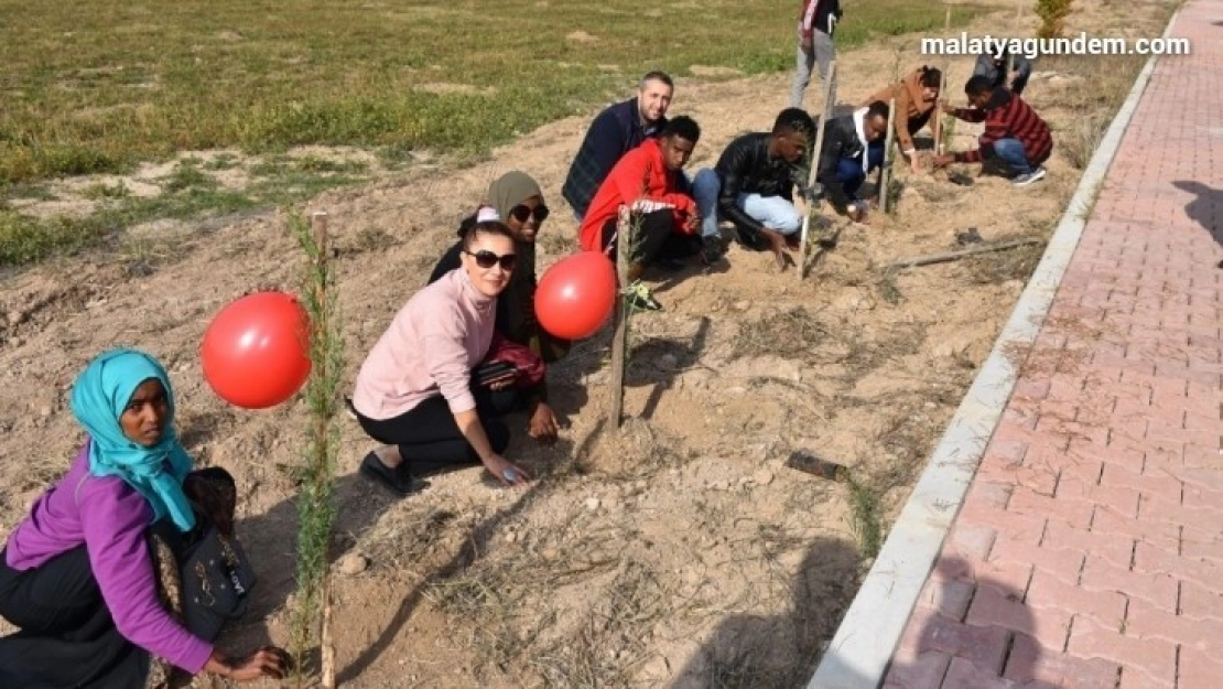 MTÜ'de yabancı öğrencilere indirim