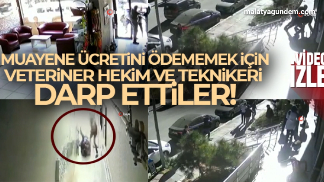 Muayene ücreti ödemek istemeyen şahıslar, veteriner hekim ve teknikeri darp etti