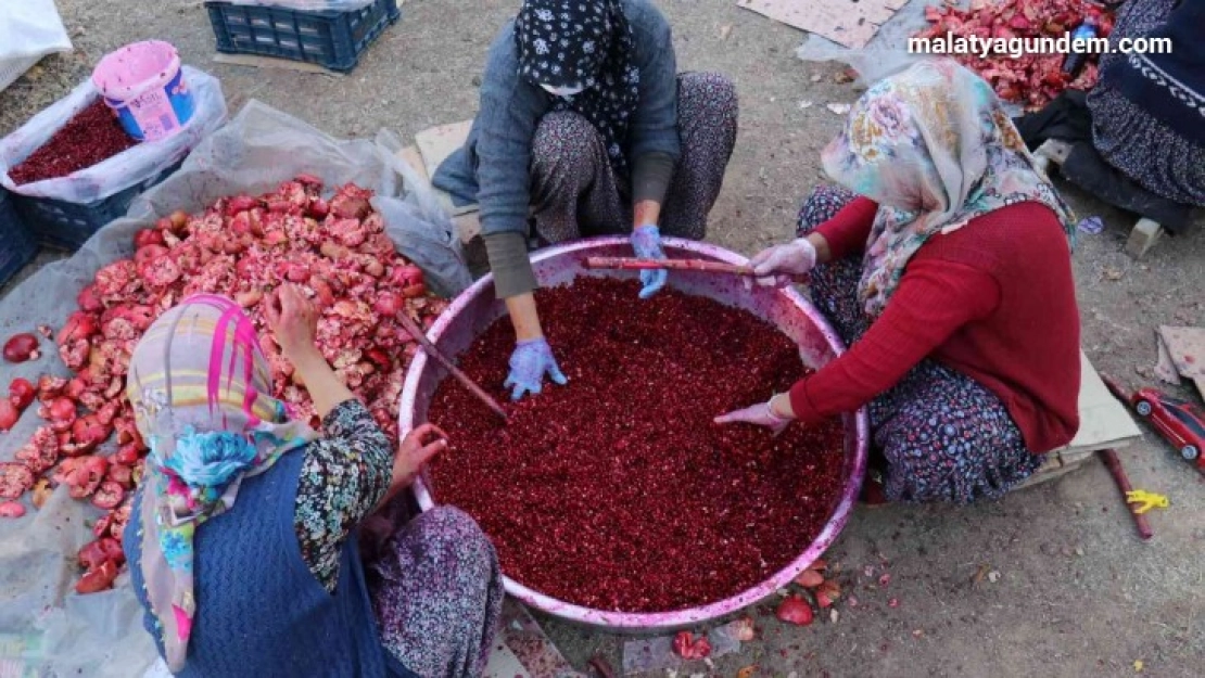 Nar ekşisi Malatyalı kadınların ek gelir kapısı oldu