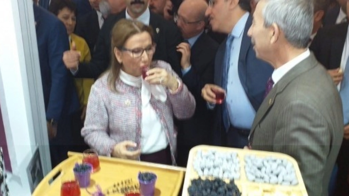 Oktay ve Pekcan'dan Arapgir Standına Ziyaret