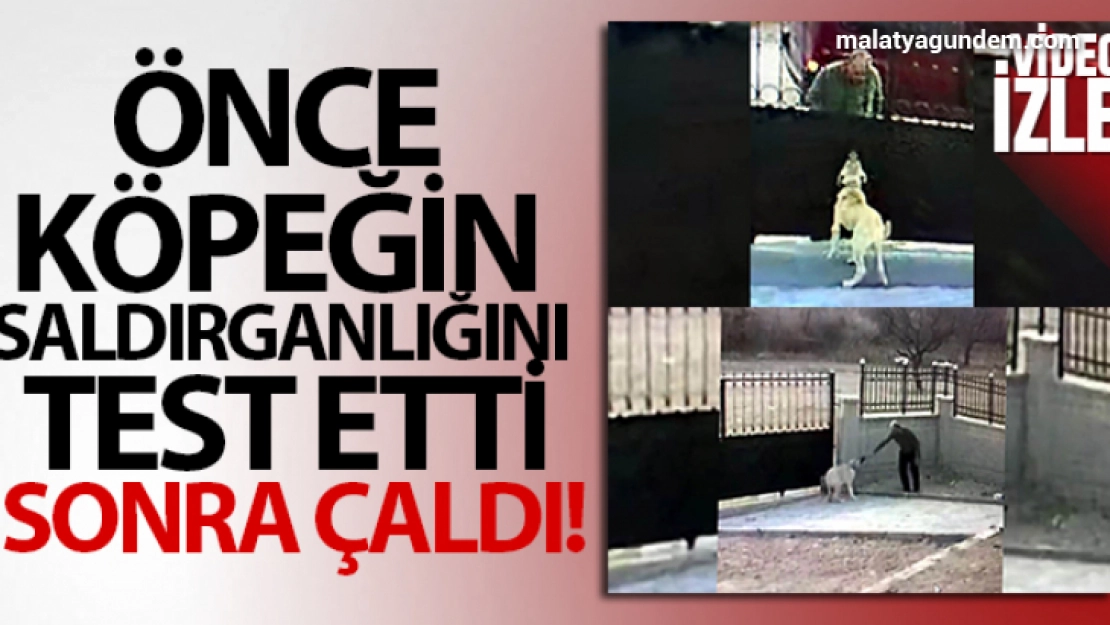 Önce köpeğin saldırganlığını test etti, sonra çaldı