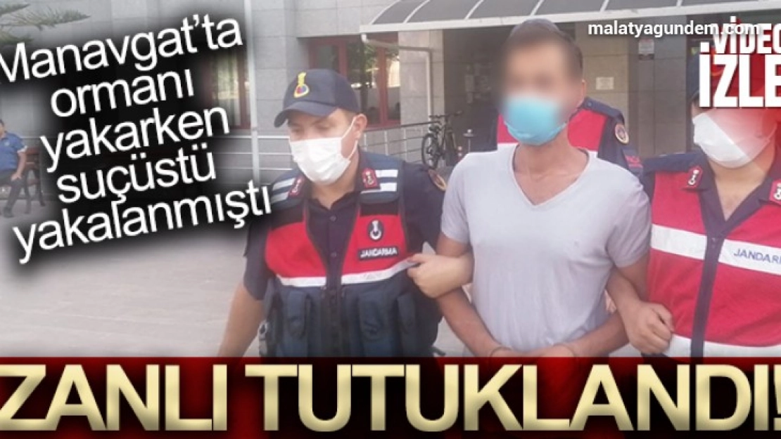 Ormanı yakarken suçüstü yakalanan zanlı tutuklandı