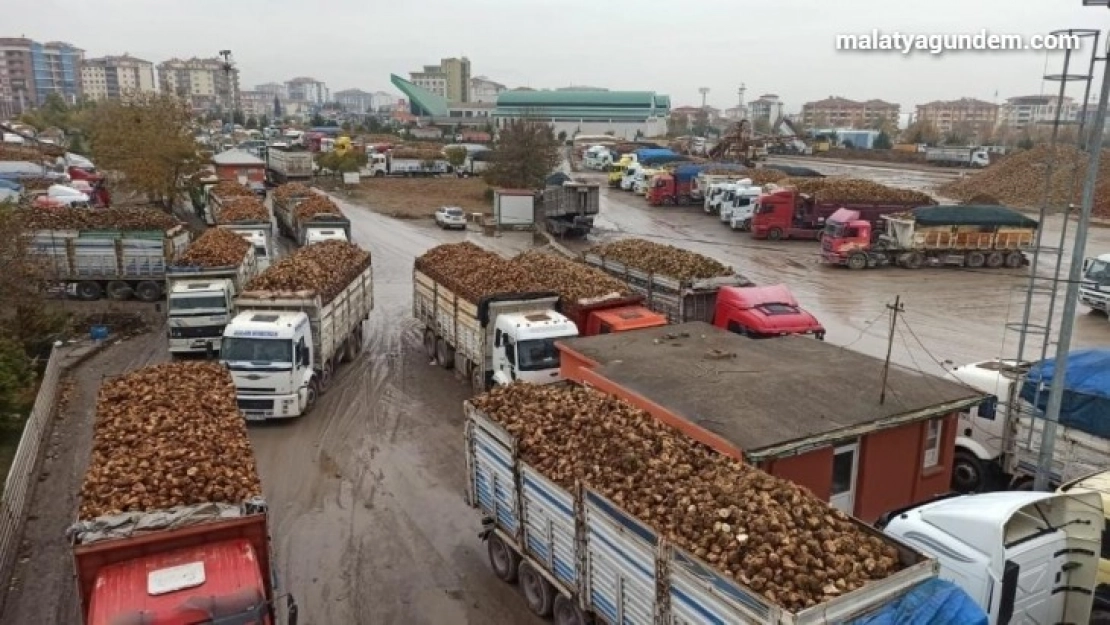 Pancar bedelleri 25 Mart'ta ödenmeye başlıyor