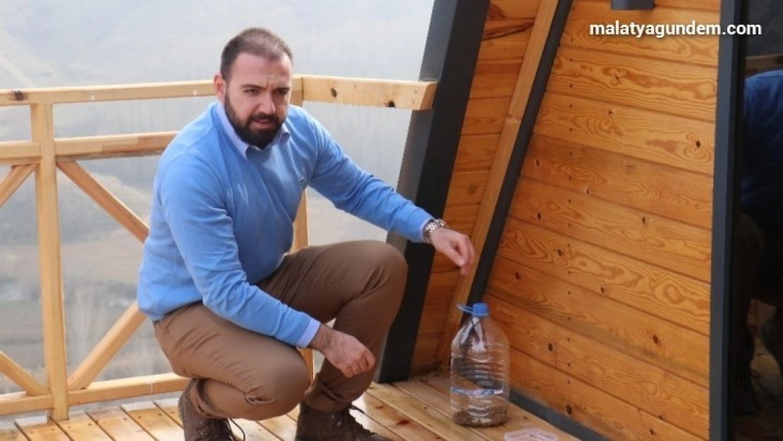 Pandemi sürecinde sokak hayvanları için öneriler