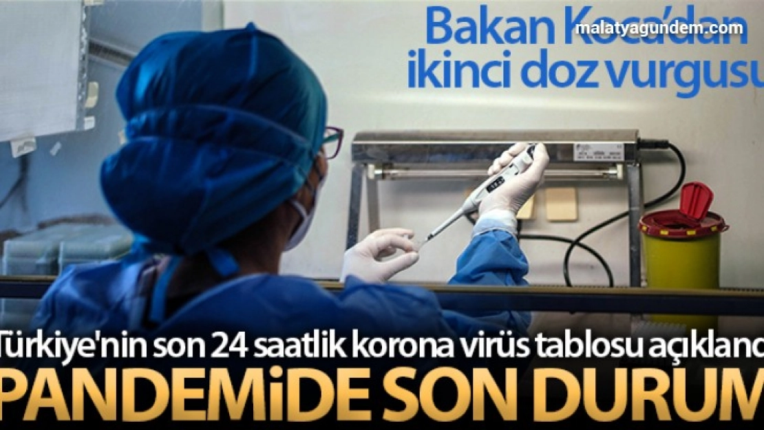 Pandemide son durum