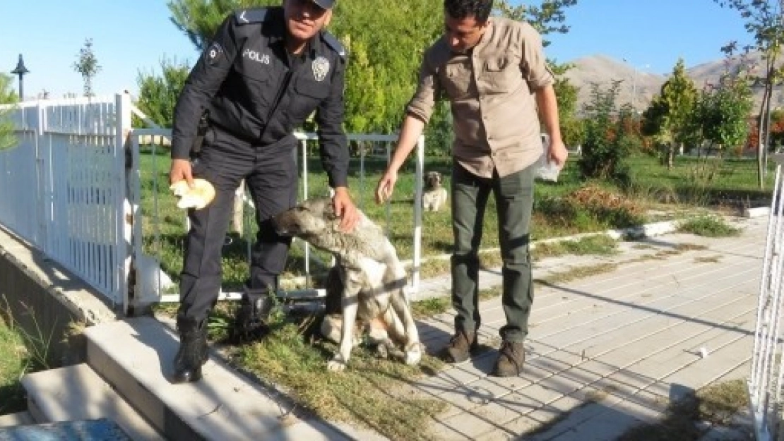  Polisden Şefkat Eli