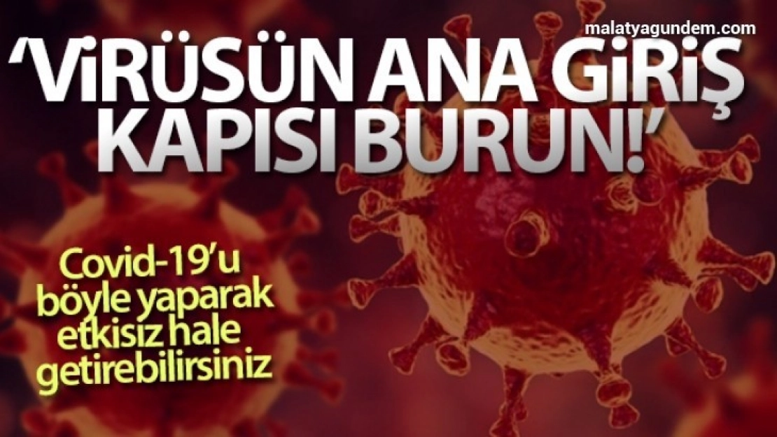 Prof. Dr. Oğuztürk: 'Virüsün ana giriş kapısı burun'