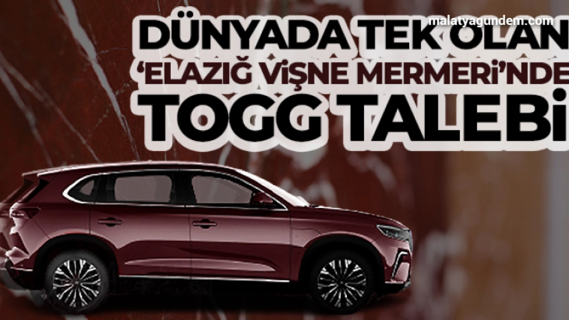 Rengi ve dokusuyla dünyada tek olan 'Elazığ Vişne Mermeri'nde TOGG talebi