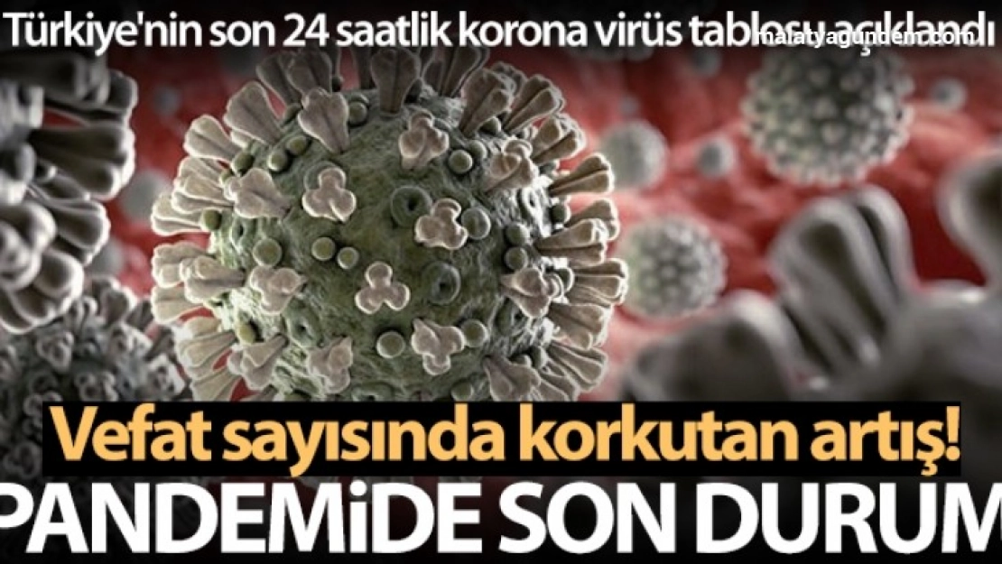 Sağlık Bakanlığı, Türkiye'nin son 24 saatlik korona virüs tablosunu açıkladı
