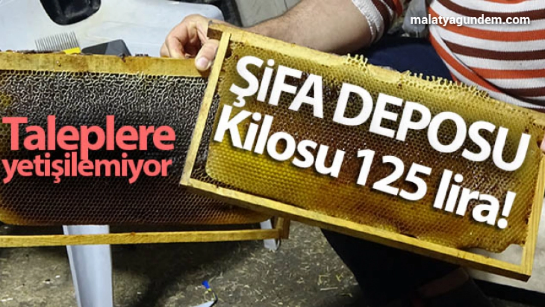 Şifa deposu püren balının kilosu 125 lira! Taleplere yetişilemiyor