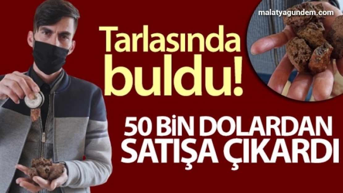 Siirt'te bir kişi, tarlasında bulduğu taşları 50 bin dolardan satışa çıkardı