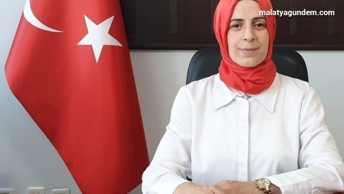Sokak hayvanları için yeni yaşam alanı önerisi