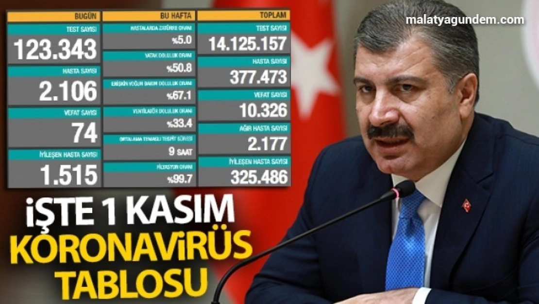 Son 24 saat de 74 kişi hayatını kaybetti