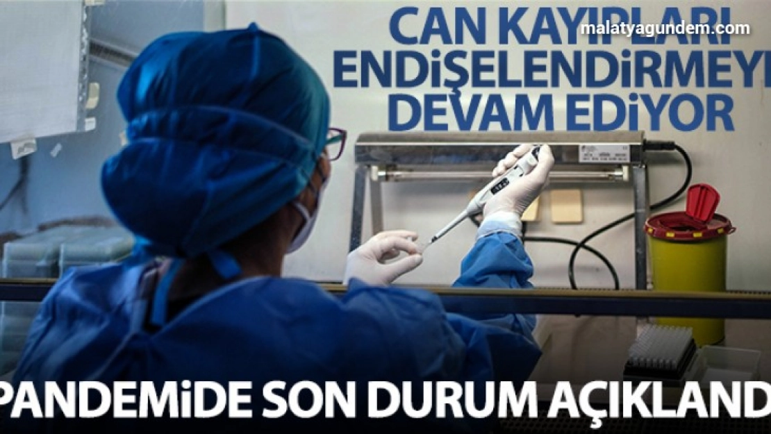 Son 24 saatlik korona virüs tablosunu açıkladı