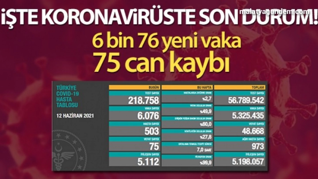 Son 24 saatte 6.076 koronavirüs vakası tespit edildi