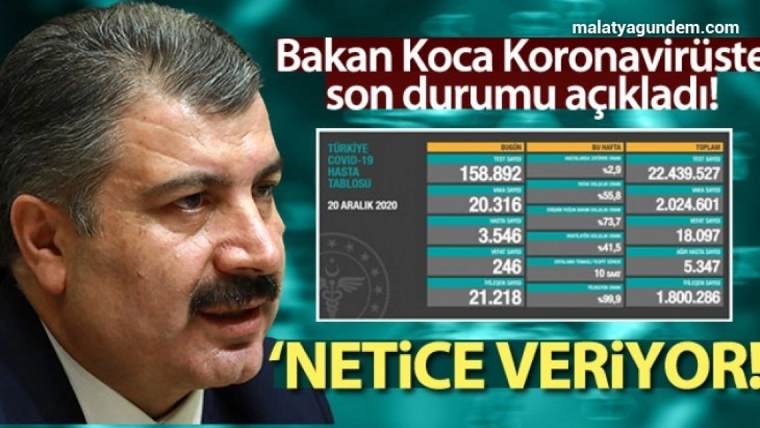 Son 24 saatte korona virüsten 246 kişi hayatını kaybetti