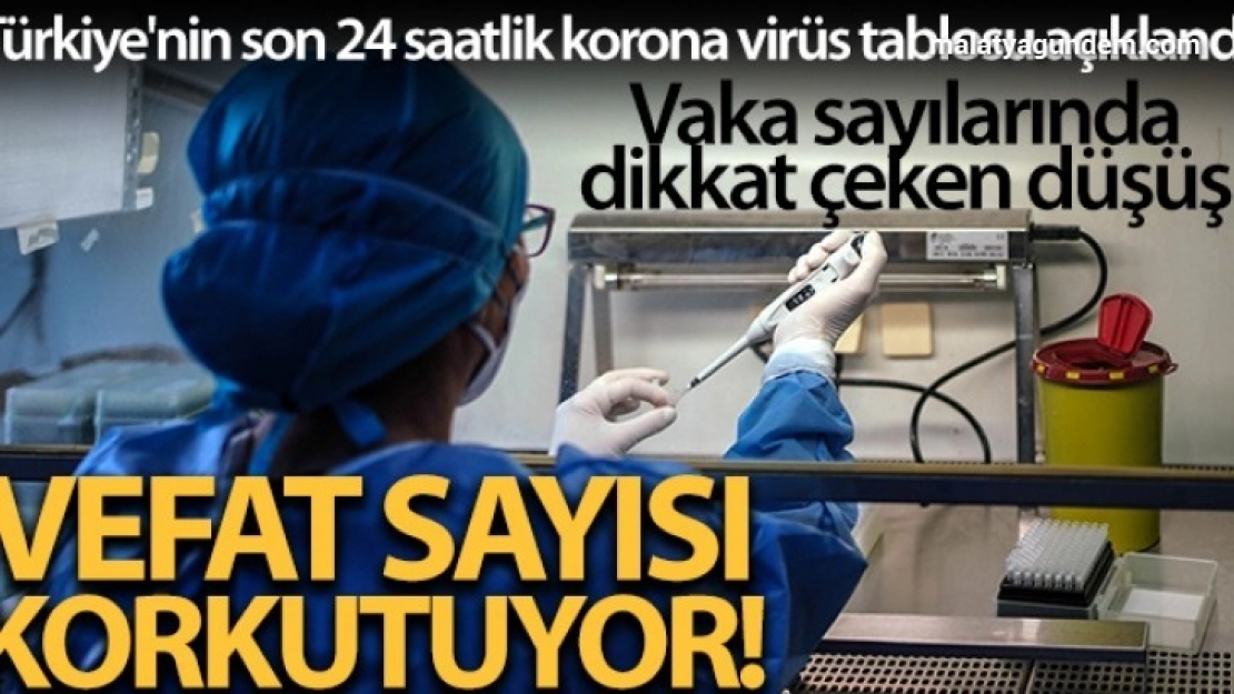Son 24 saatte korona virüsten 354 kişi hayatını kaybetti