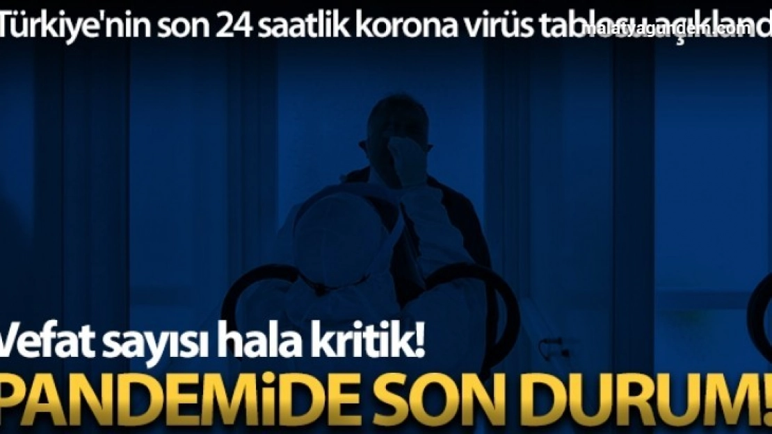 Son 24 saatte korona virüsten 341 kişi hayatını kaybetti