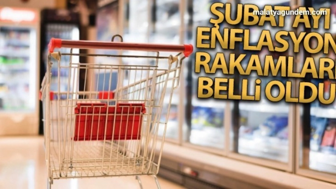 Şubat ayı enflasyonu açıklandı