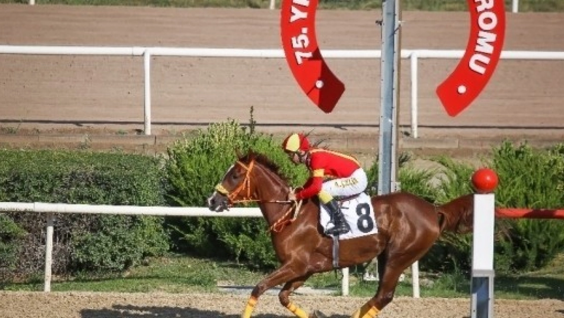 Sultansuyu Harası Kupaları Toplamaya Devam Ediyor