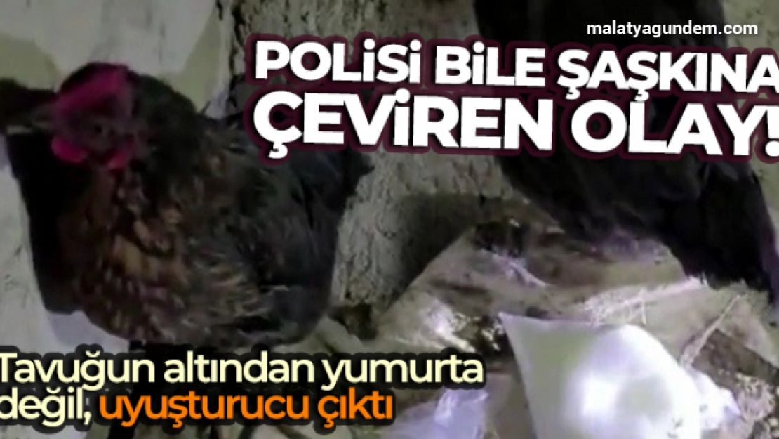 Tavuğun altından yumurta değil, uyuşturucu çıktı
