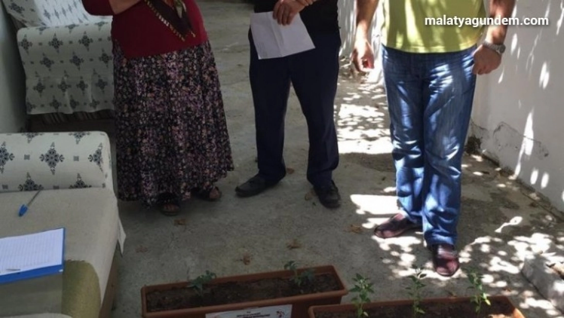 Taze sebzeni balkonda üret projesi