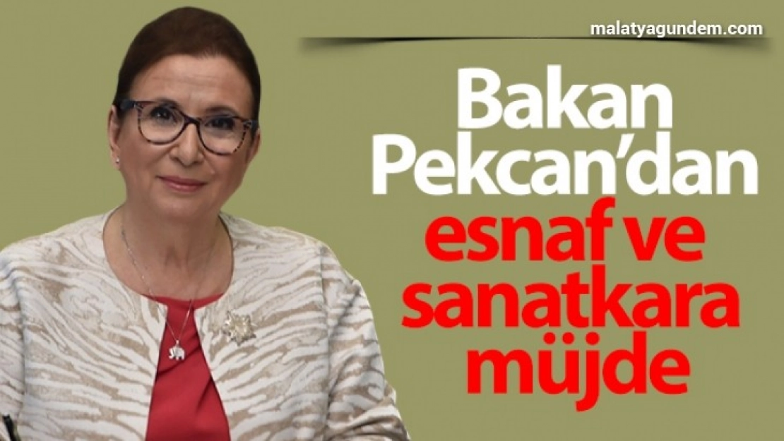 Ticaret Bakanı Ruhsar Pekcan'dan esnaf ve sanatkara müjde