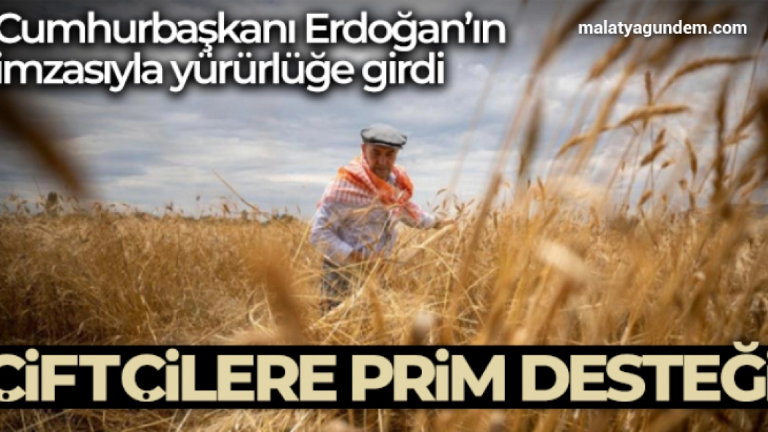 TMO alım pirimi desteğine ilişkin karar Resmi Gazete'de yayımlandı
