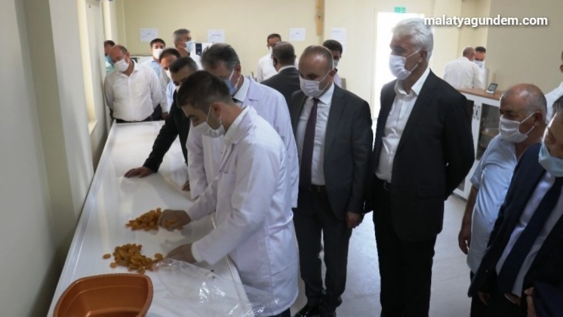 TMO ilk kayısı alımını yaptı