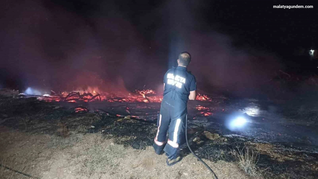 Tonlarca kayısı odunu yangında kül oldu