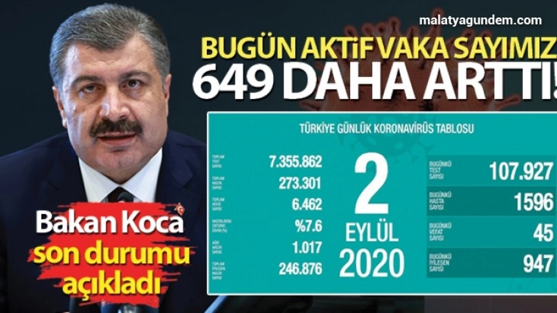 Toplam can kaybı 6 bin 462 oldu