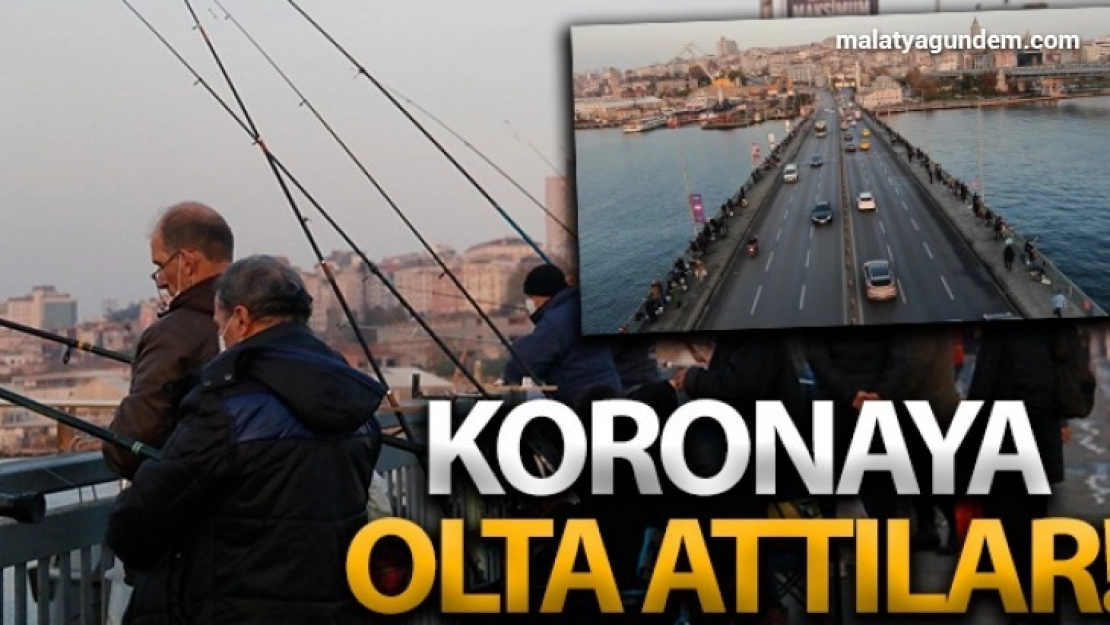 Tüm uyarılara rağmen koronaya olta attılar